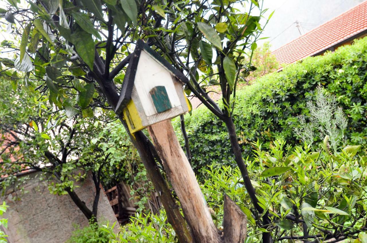 Apartment Buki Kotor Ngoại thất bức ảnh